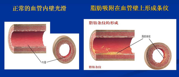 1509707895345019587.jpg 100.jpg