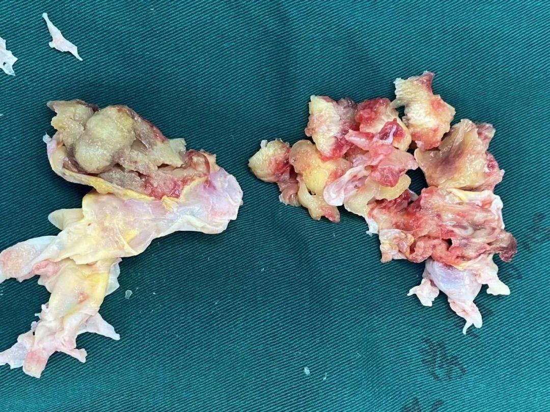 1651821224753093373.jpg 微信图片_20220506145200.jpg