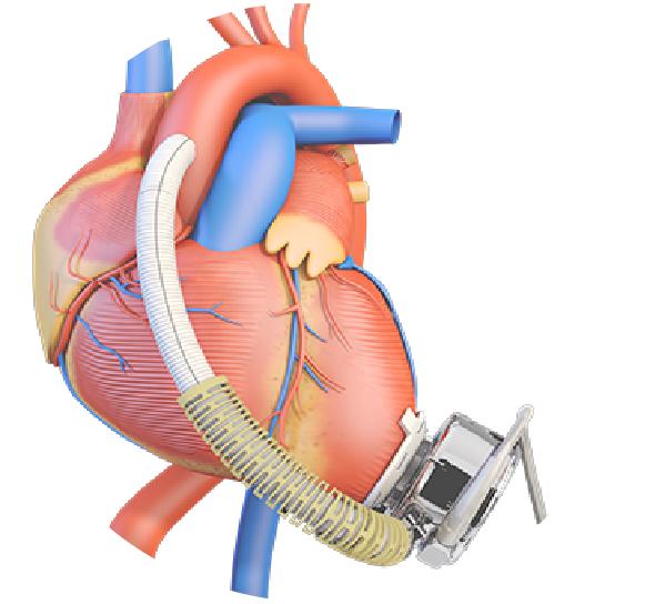 1681198554588045814.jpg 图片5.jpg